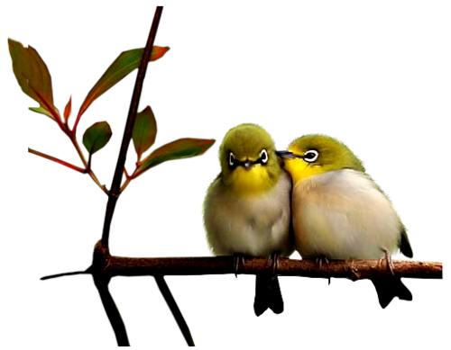 őszi állatok_117.png